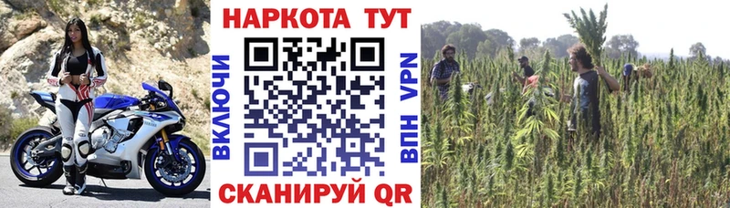 Виды наркотиков купить Харовск Псилоцибиновые грибы  Мефедрон  COCAIN  ГАШ  Канабис 