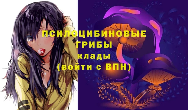 первитин Горняк